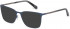 Ted Baker TB4286 sunglasses in Navy