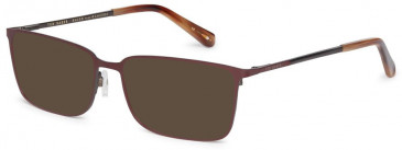 Ted Baker TB4303 sunglasses in Burgundy