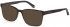 Ted Baker TB8188 sunglasses in Tortoise