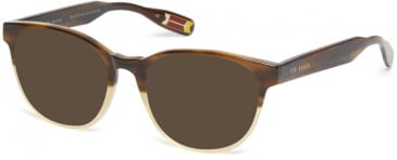 Ted Baker TB8197 sunglasses in Brown Horn Honey