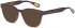 Ted Baker TB8197 sunglasses in Dark Brown Horn Brown