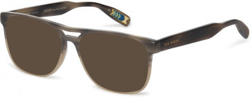Ted Baker TB8207 sunglasses in Grey Horn Grey