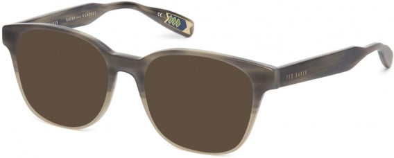 Ted Baker TB8211 sunglasses in Brown Horn Beige