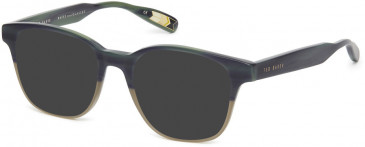 Ted Baker TB8211 sunglasses in Brown Horn Light Brown