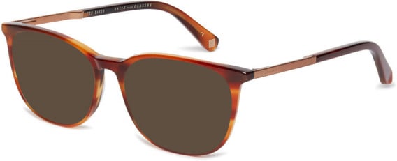 Ted Baker TB8219 sunglasses in Cognac Horn