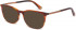 Ted Baker TB8219 sunglasses in Cognac Horn