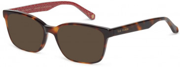 Ted Baker TB8230 sunglasses in Tortoise