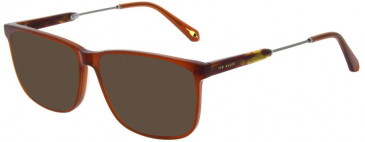Ted Baker TB8238 sunglasses in Beer