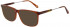 Ted Baker TB8238 sunglasses in Beer