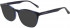 Ted Baker TB8241 sunglasses in Blue Tortoise