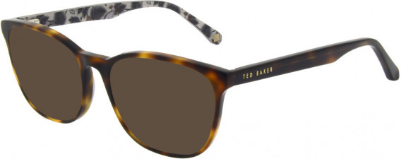Ted Baker TB8241 sunglasses in Tortoise