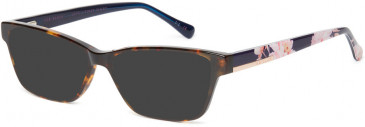 Ted Baker TB9186 sunglasses in Tortoise