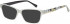 Ted Baker TB9186 sunglasses in Grey