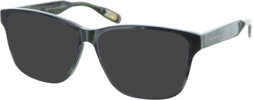 Ted Baker TB8232 sunglasses in Olive Horn