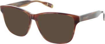 Ted Baker TB8232 sunglasses in Brown Horn/Light Brown