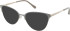 Ted Baker TB2266 sunglasses in Warm Grey