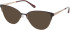 Ted Baker TB2266 sunglasses in Burgundy