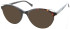 Ted Baker TB9175 sunglasses in Tortoise