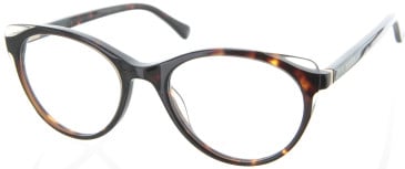 Ted Baker TB9175 glasses in Tortoise