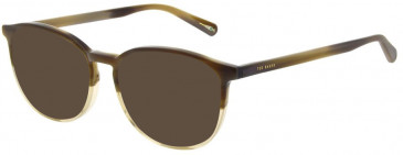 Ted Baker TB8239 sunglasses in Brown Horn