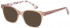 Ted Baker TB9195 sunglasses in Mocha