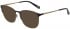 Ted Baker TB4311 sunglasses in Black