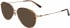 Calvin Klein CK20106 sunglasses in Soft Tortoise