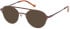 Hackett HEB249 sunglasses in Brown