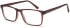 SFE (10826) glasses in Brown