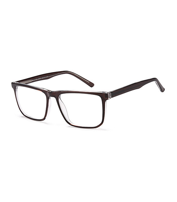 SFE-11005 glasses in Grey