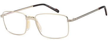 SFE-10992 glasses in Gold