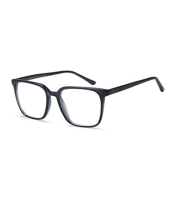 SFE-11006 glasses in Grey