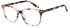 SFE-10988 glasses in Brown