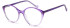 SFE-10973 glasses in Purple