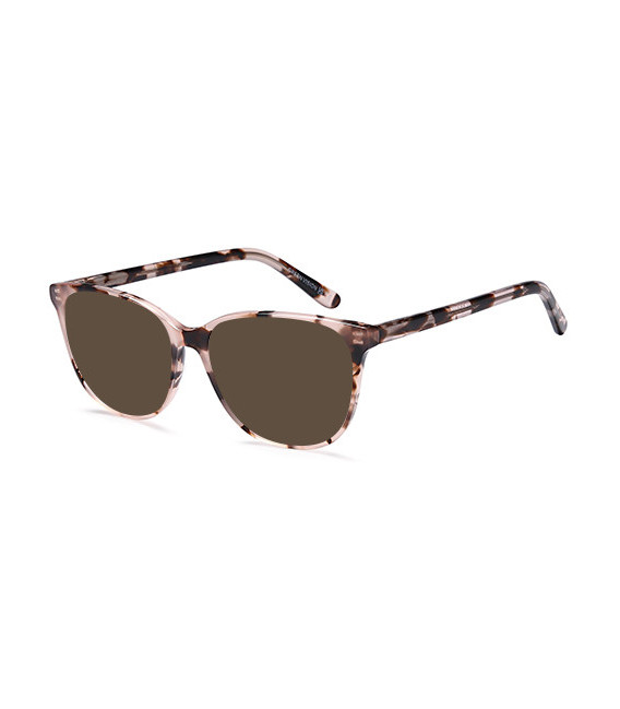 SFE-10988 sunglasses in Brown