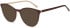 SFE-10972 sunglasses in Brown