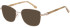 SFE-10971 sunglasses in Bronze