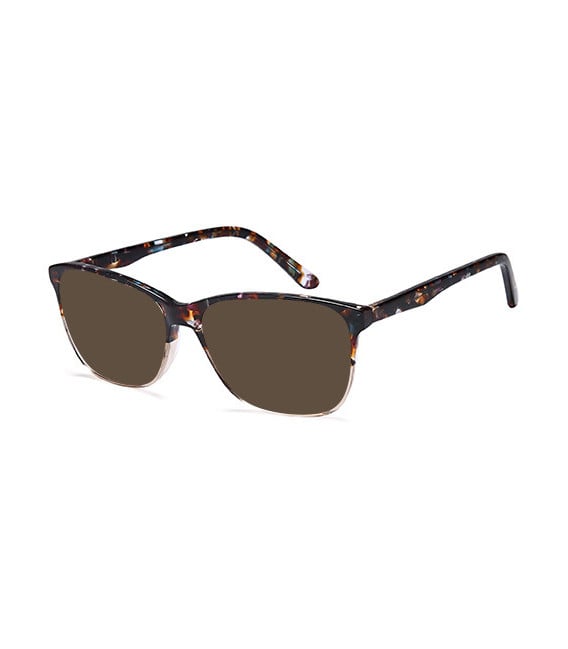 SFE-10963 sunglasses in Brown