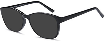 SFE-11011 sunglasses in Black