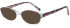 SFE-10999 sunglasses in Brown
