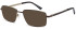 SFE-10989 sunglasses in Brown/Gold