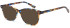 SFE-10982 sunglasses in Tort