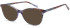 SFE-10977 sunglasses in Brown