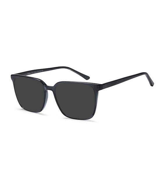 SFE-11006 sunglasses in Grey