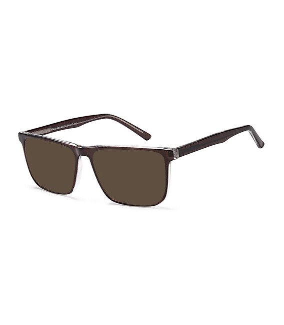 SFE-11005 sunglasses in Grey