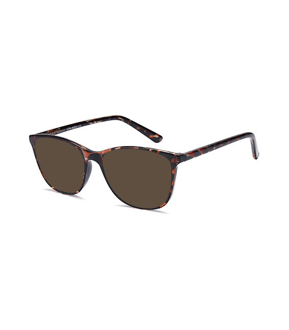 SFE-11001 sunglasses in Demi