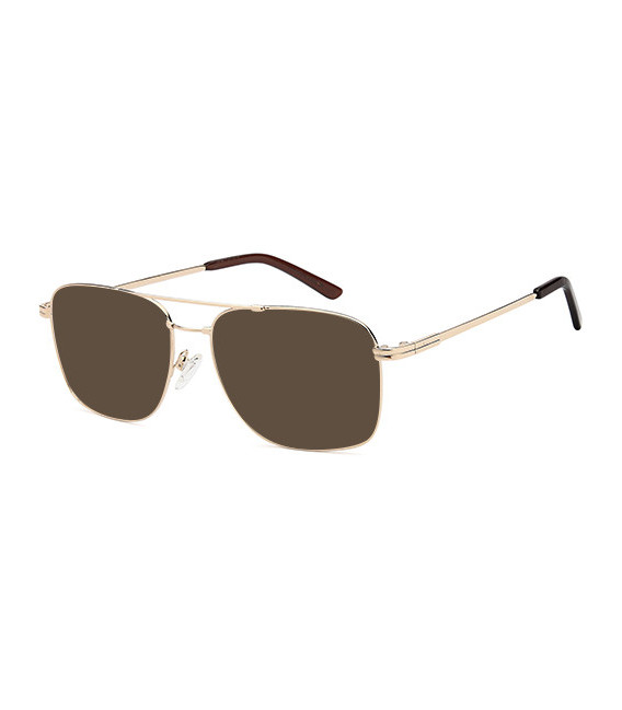 SFE-10987 sunglasses in Gold