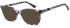 SFE-10981 sunglasses in Grey