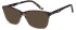 SFE-10963 sunglasses in Brown