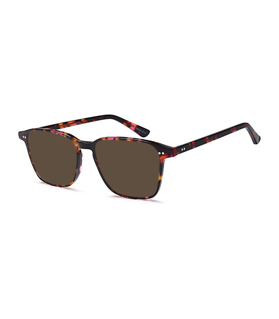 SFE-10947 sunglasses in Havana